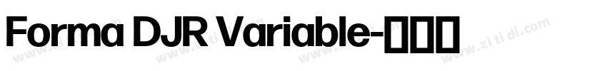 Forma DJR Variable字体转换